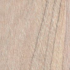 olmo01